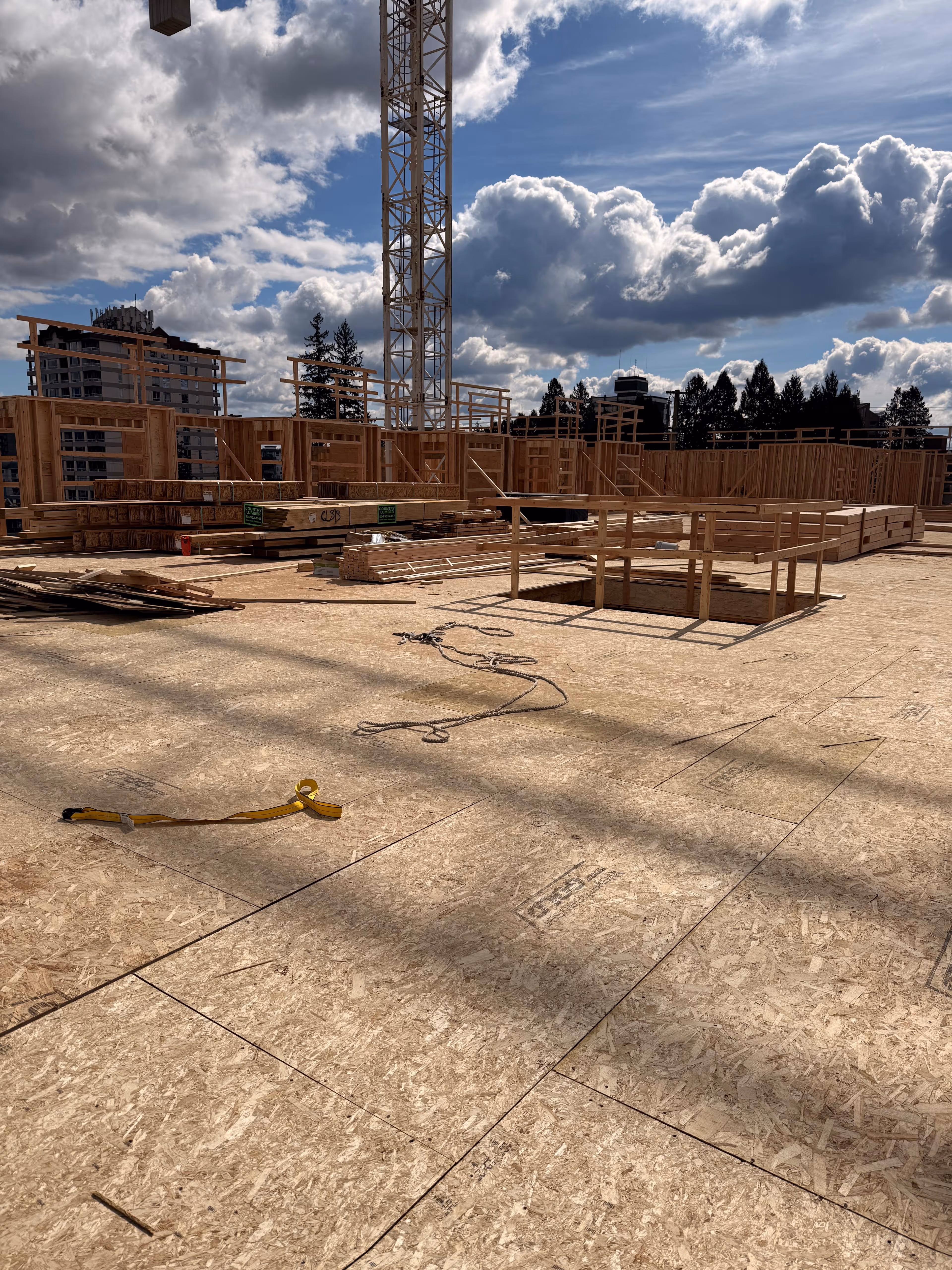 Multi-Family framing in Maple Ridge, BC — Dunbar Street, photo 5
