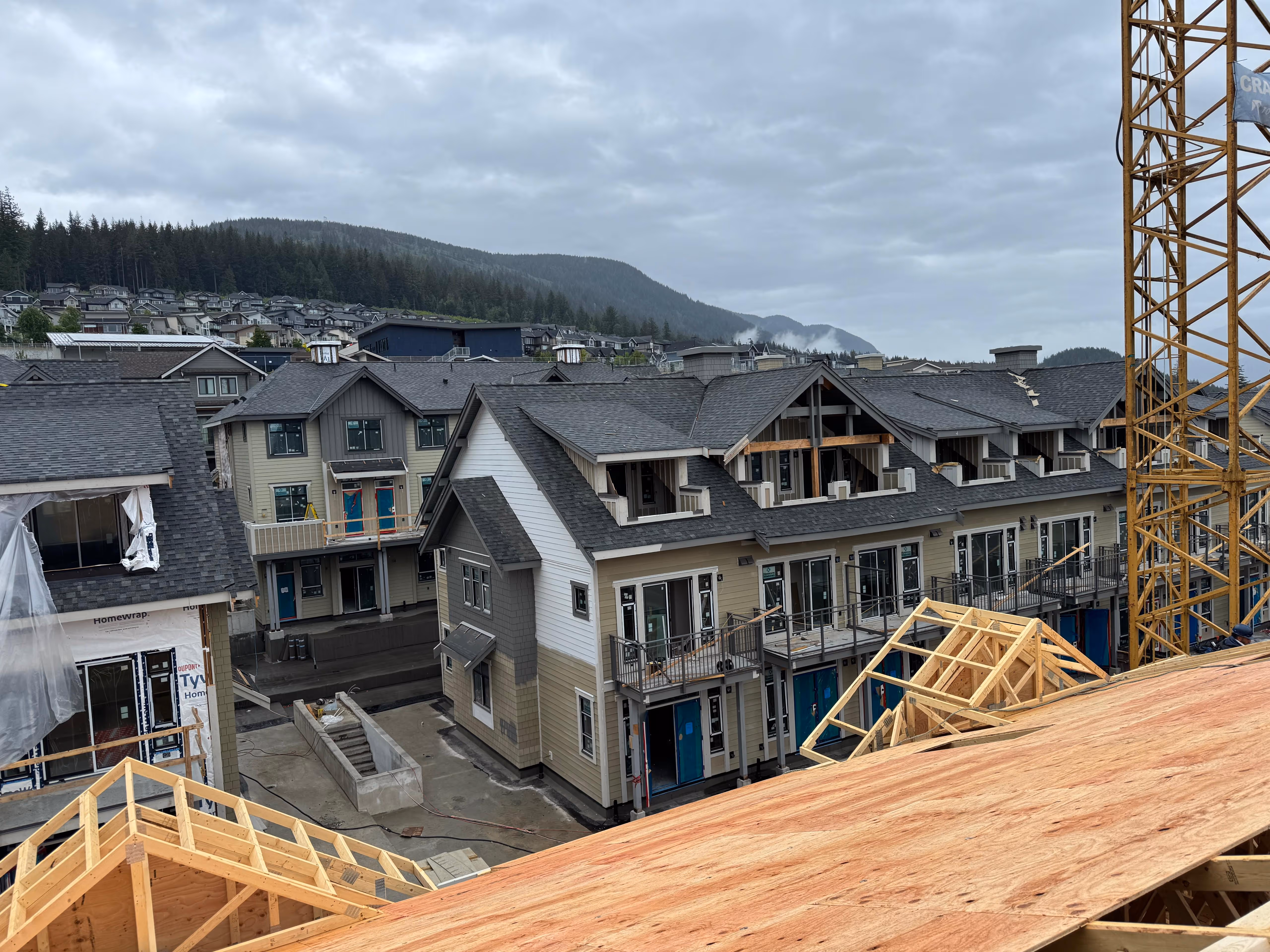 Multi-Family framing in Coquitlam, BC — Terrayne, photo 6
