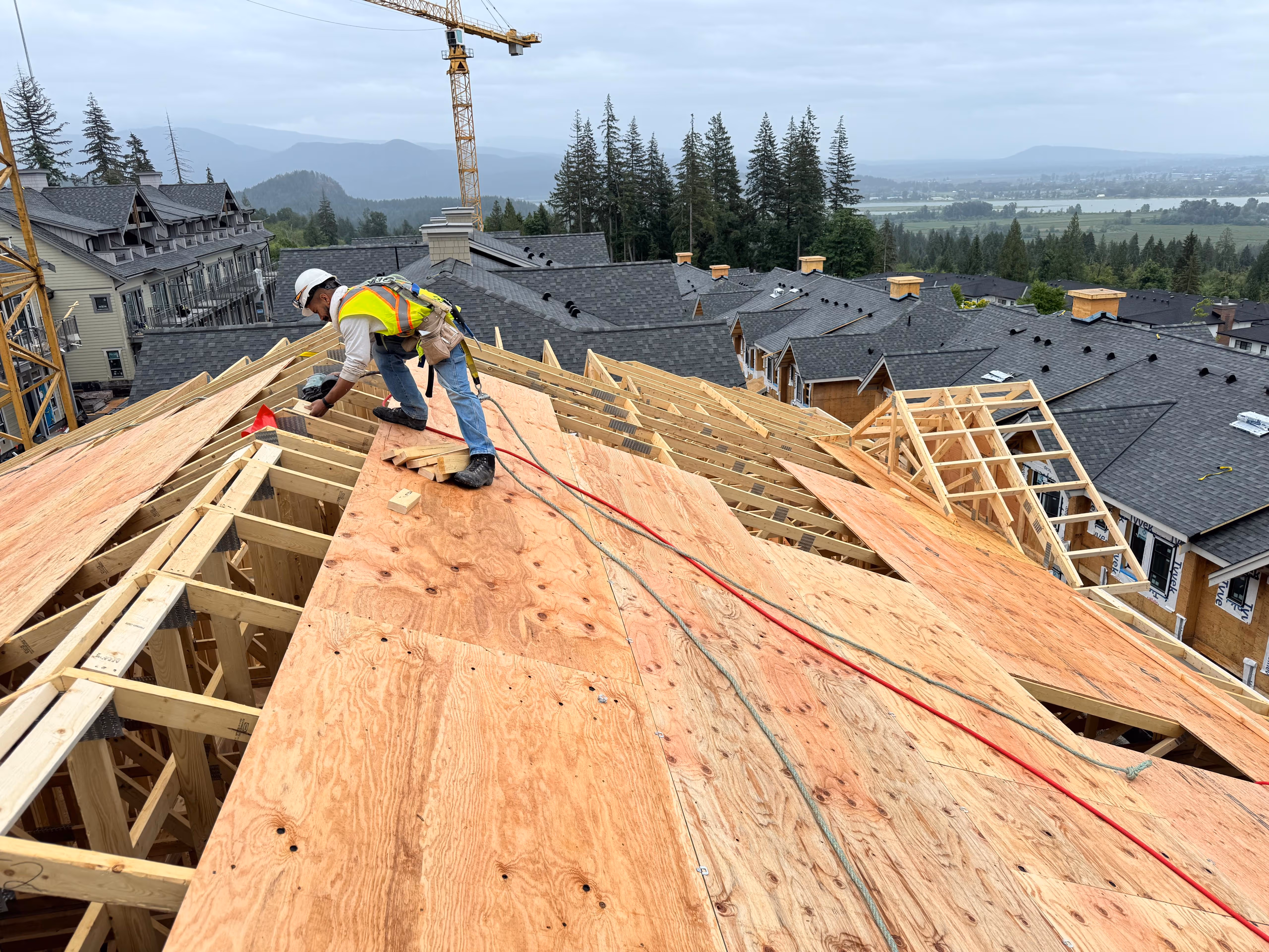 Multi-Family framing in Coquitlam, BC — Terrayne, photo 7