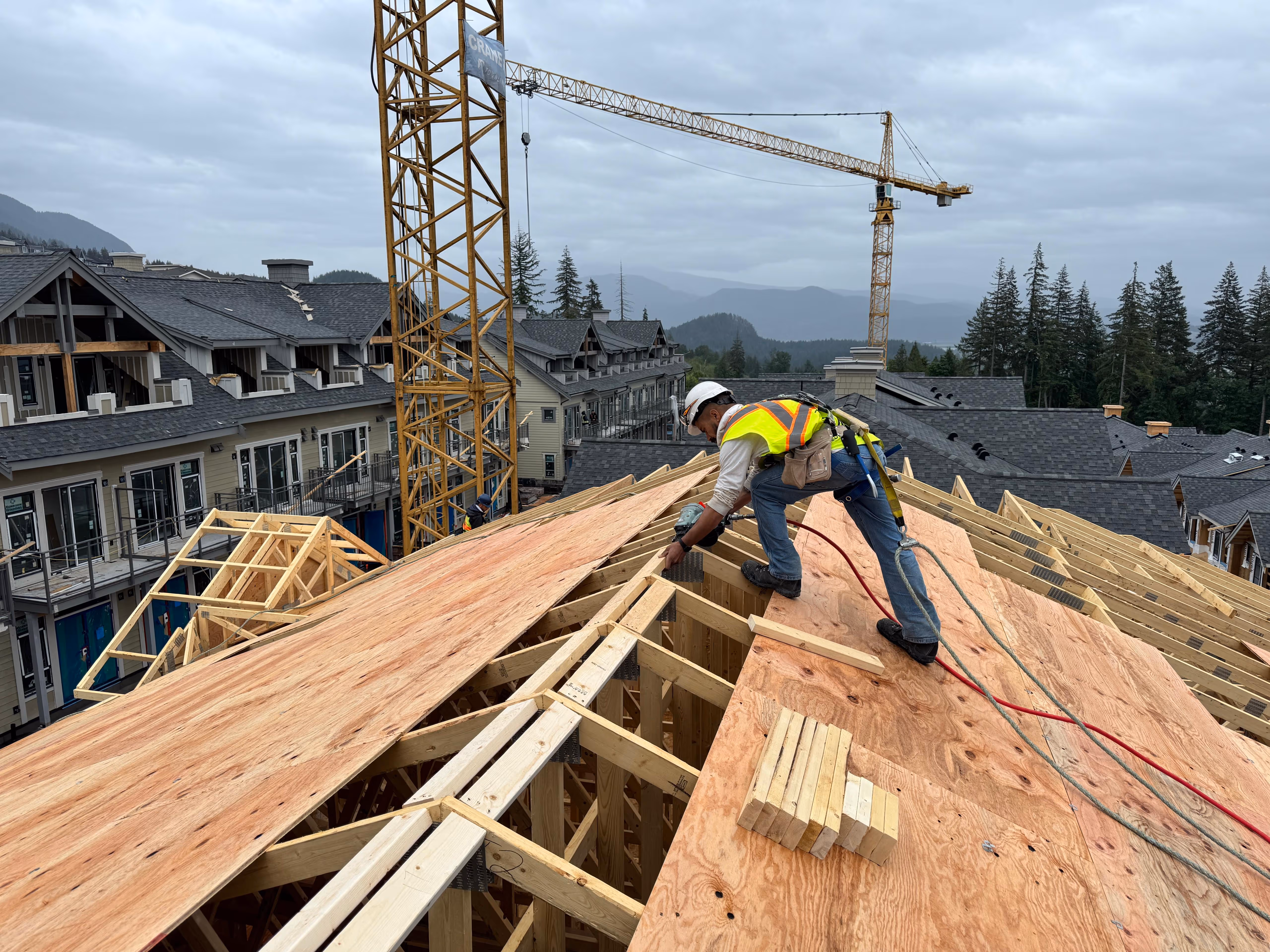 Multi-Family framing in Coquitlam, BC — Terrayne, photo 8