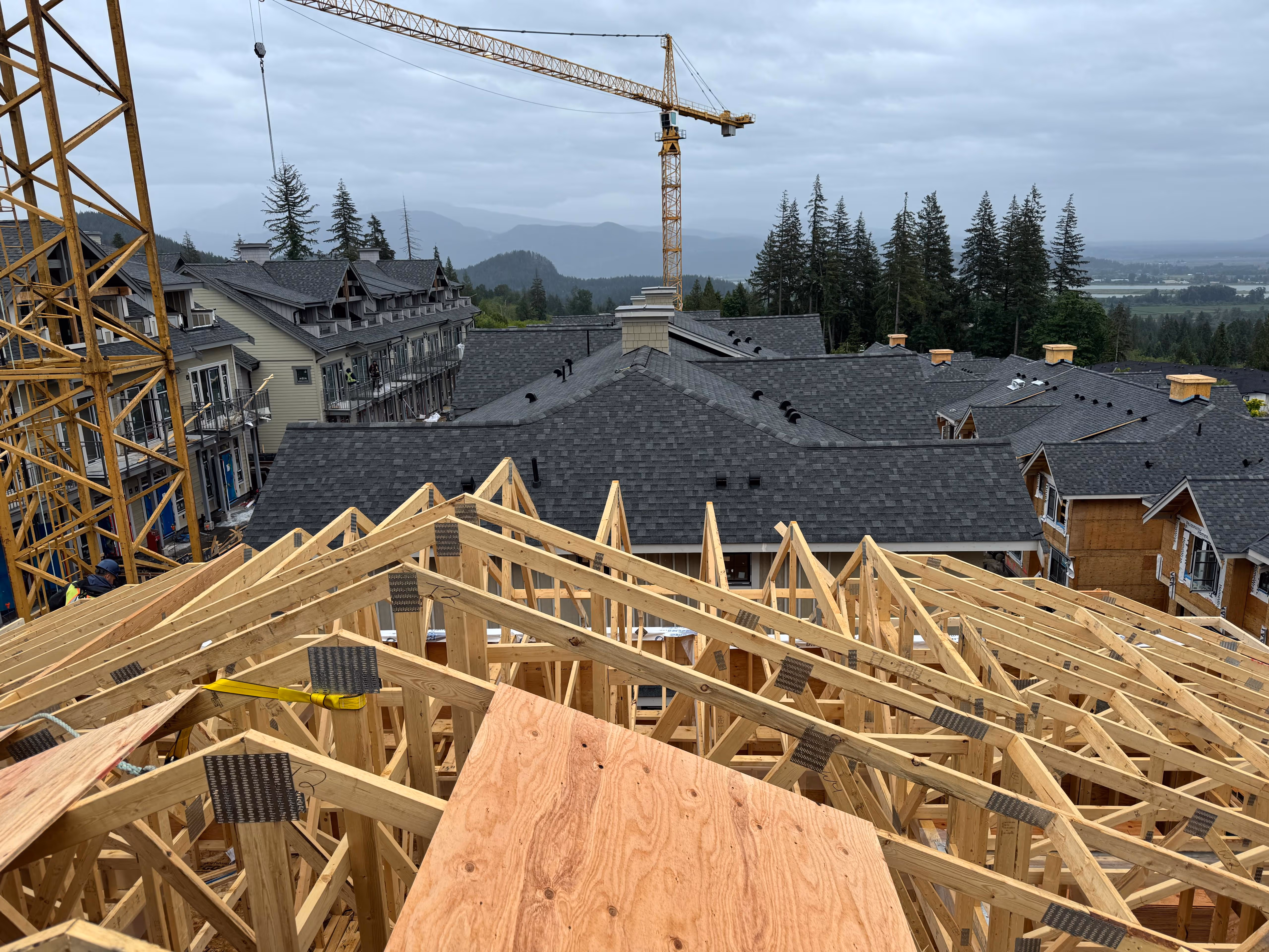 Multi-Family framing in Coquitlam, BC — Terrayne, photo 12