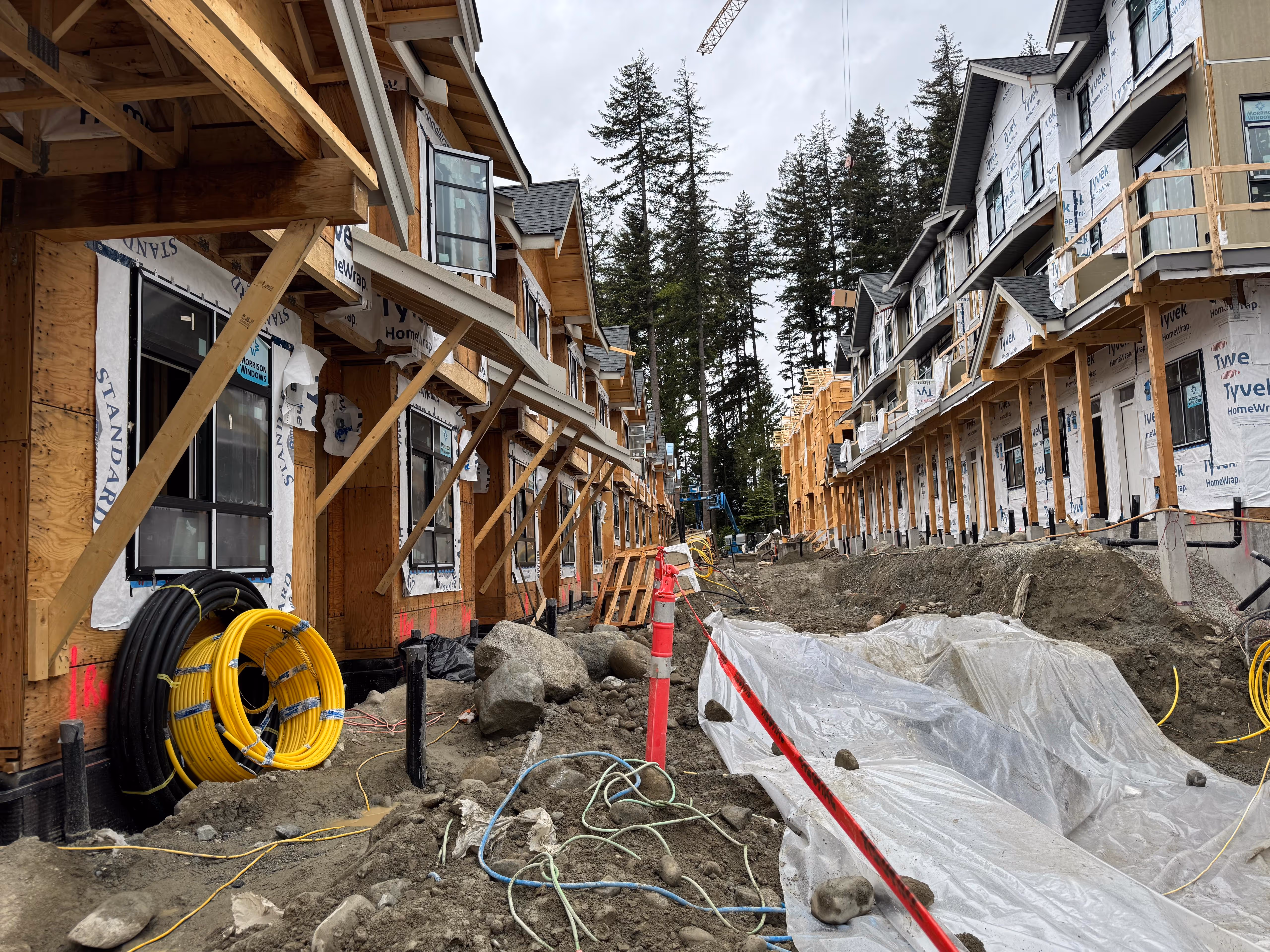 Multi-Family framing in Coquitlam, BC — Terrayne, photo 14