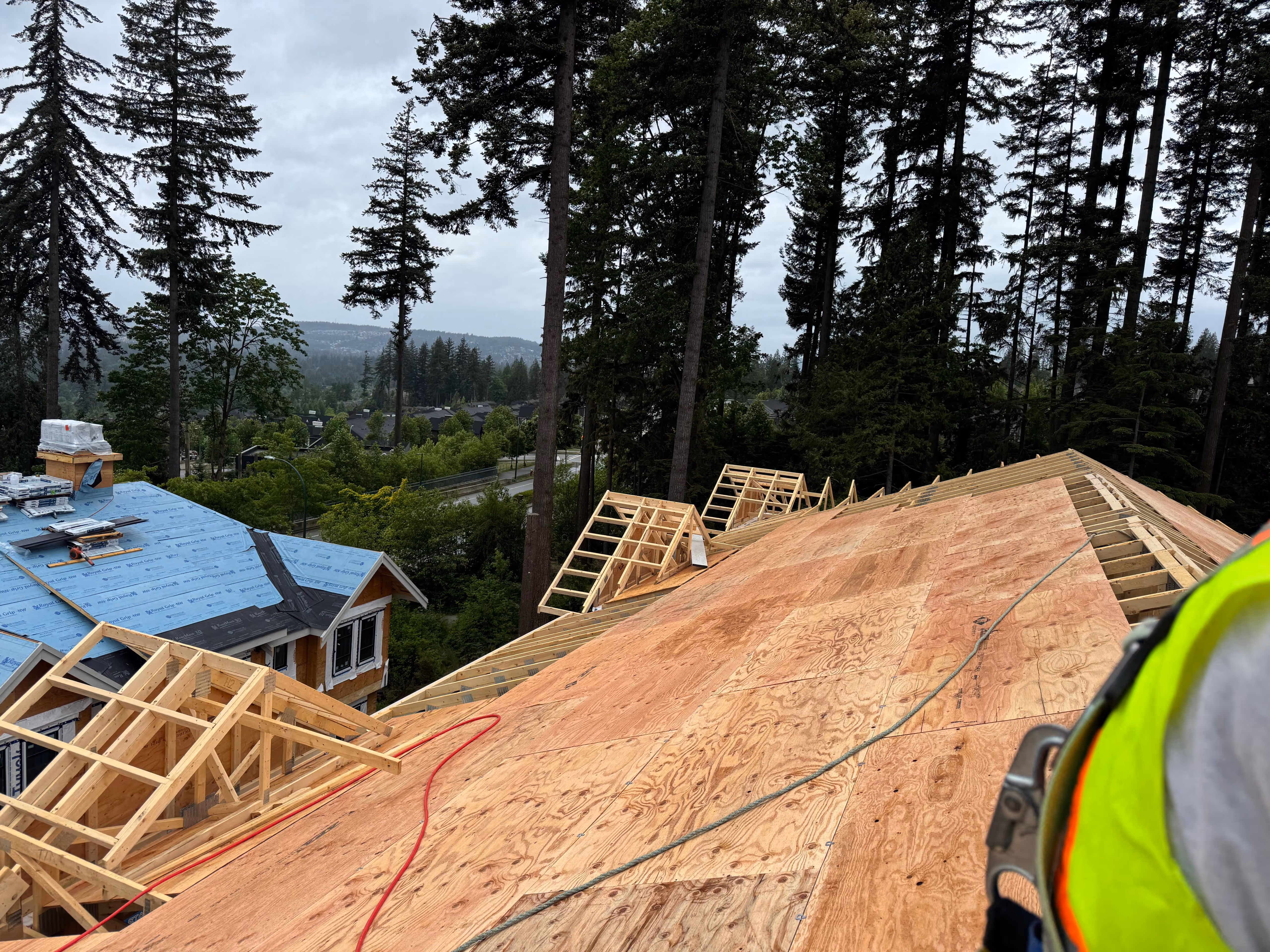 Multi-Family framing in Coquitlam, BC — Terrayne, photo 17